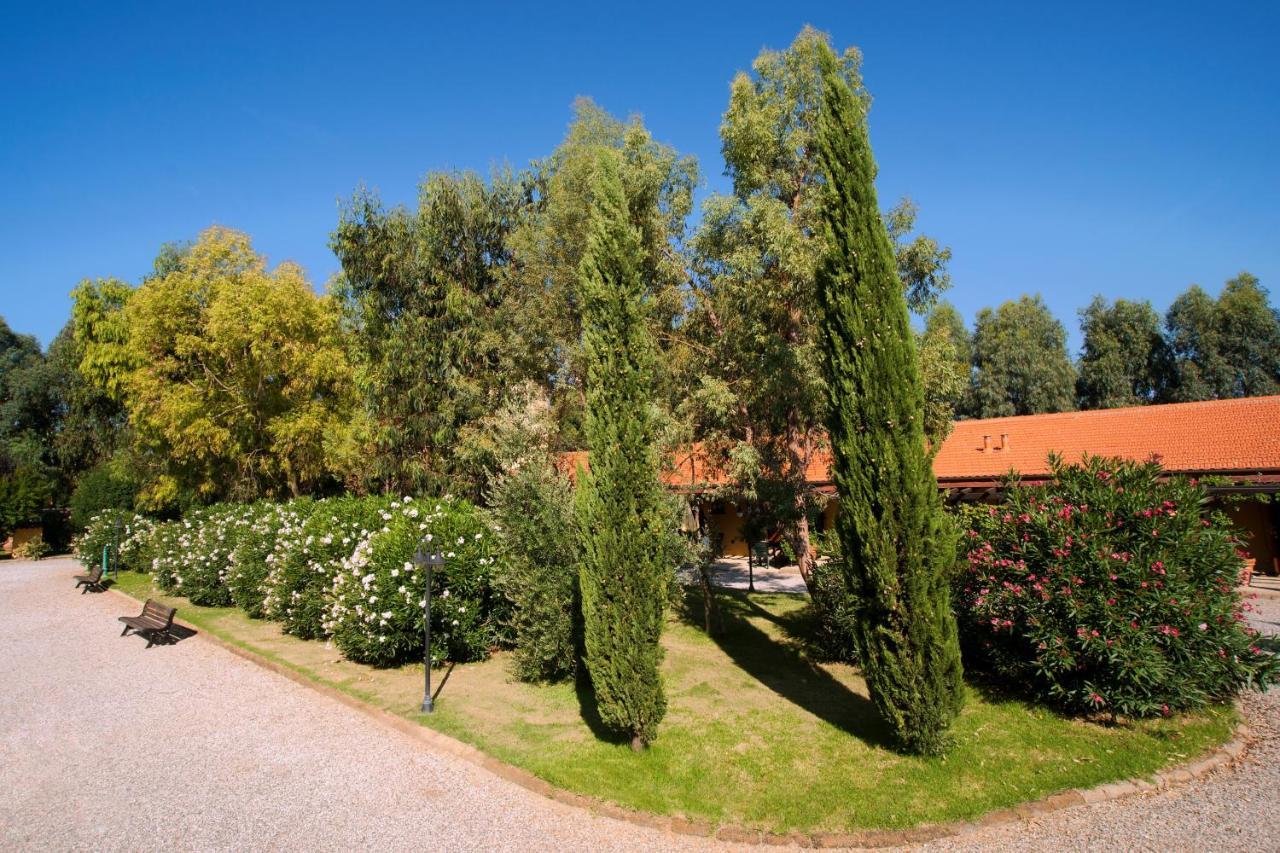 Agriturismo Le Pescine ヴァダ エクステリア 写真