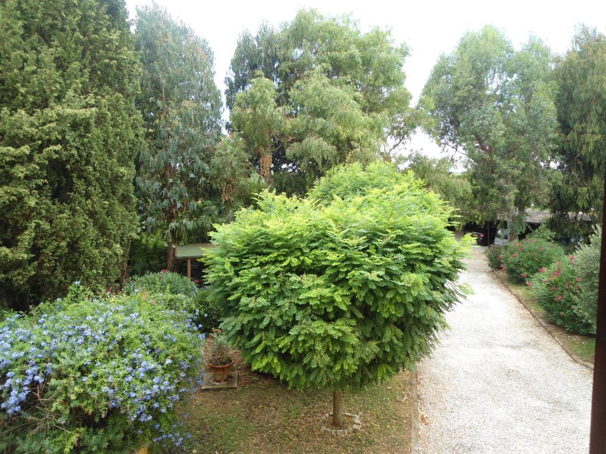 Agriturismo Le Pescine ヴァダ エクステリア 写真